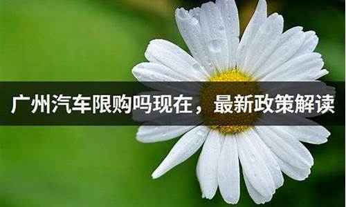 广州购车限制_广州汽车限购政策2023