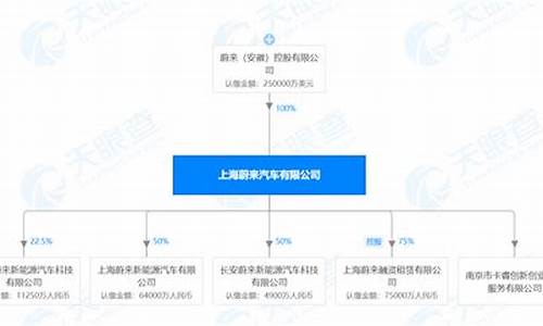 蔚来汽车股东构成情况_蔚来汽车全部股东名